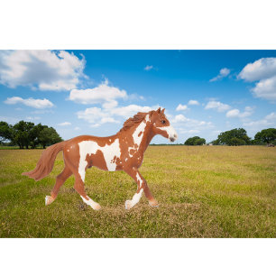 Amerikanisches Paint Horse T-Shirt