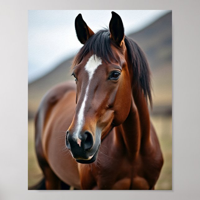 amerikanisches Pferd Poster (Vorne)