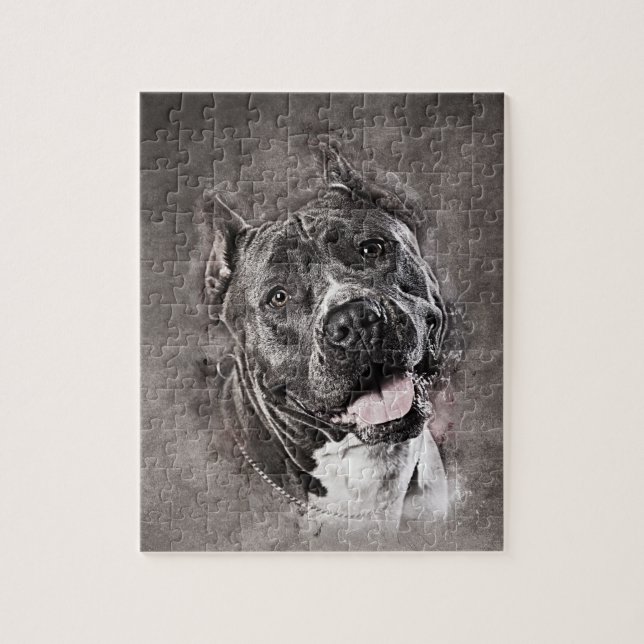 Amerikanisches Staffordshire Terrier - Amstaff (Vertikal)