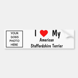 Amerikanisches Staffordshire Terrier Autoaufkleber