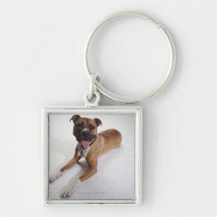Amerikanisches Staffordshire Terrier, das sich Schlüsselanhänger
