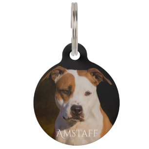 Amerikanisches Staffordshire Terrier Haustiermarke