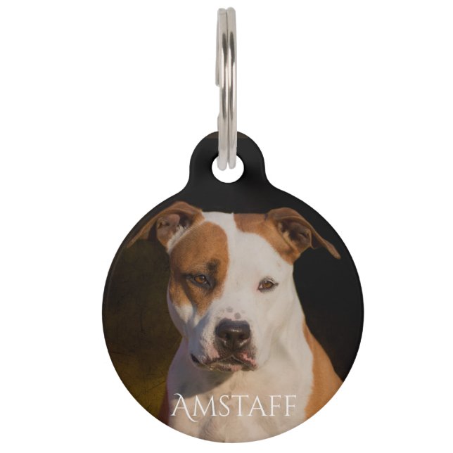Amerikanisches Staffordshire Terrier Haustiermarke (Vorderseite)