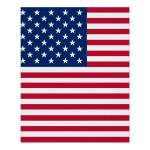 Amerikanisches USA-Flagge-Stolz-Design Poster