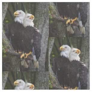 Amerikanisches Weißkopfseeadler-Gewebe Stoff