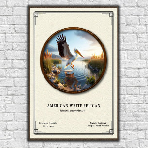 Amerikanisches Weißstorch-Pelikan-Zoologie-Poster Poster