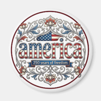 Amerikas 250 Jahre Silber-Jubiläum USA Souvenir Magnet