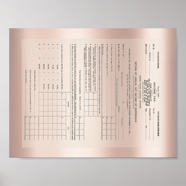 Amerikas erstes Einkommensteuerformular 1040 Rose  Poster (Vorne)