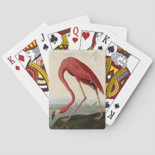 Amerikas Flamingo von Audubons Vögeln Amerikas Spielkarten