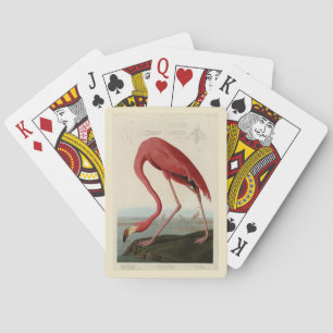 Amerikas Flamingo von Audubons Vögeln Amerikas Spielkarten