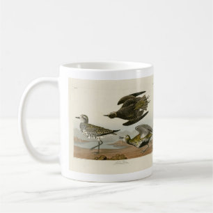 Amerikas Goldener Liebhaber, Audubons Vögel von Am Kaffeetasse