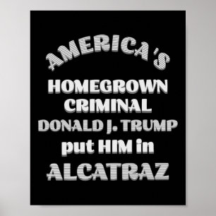 Amerikas heimischer Krimineller D. Trump steckte i Poster