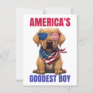 Amerikas schönstes Labrador Postkarte