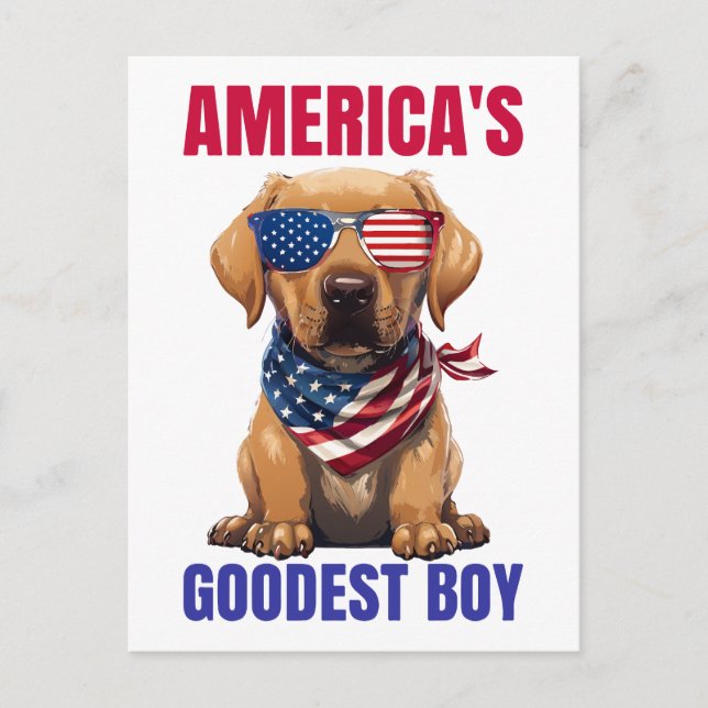 Amerikas schönstes Labrador Postkarte (Vorderseite)