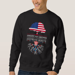 Amerikas Wachstum mit Assyrian Roots Assyria Sweatshirt