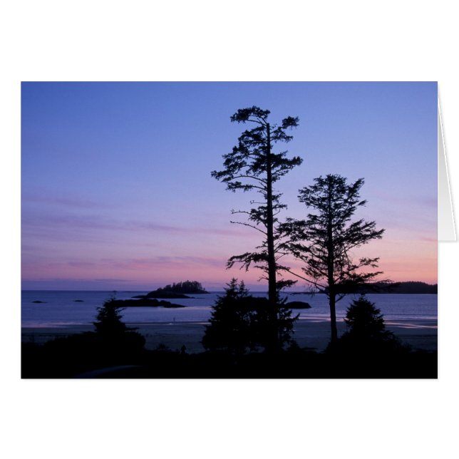 Amérique du Nord, Canada, île de Vancouver, arbres (Devant horizontal)