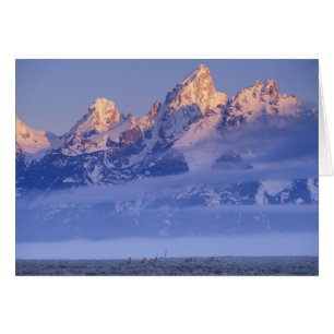 Amérique du Nord, États-Unis, Wyoming, Grand Teton