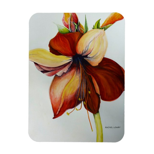 Amerylis 2018 magnet (Vertikal)