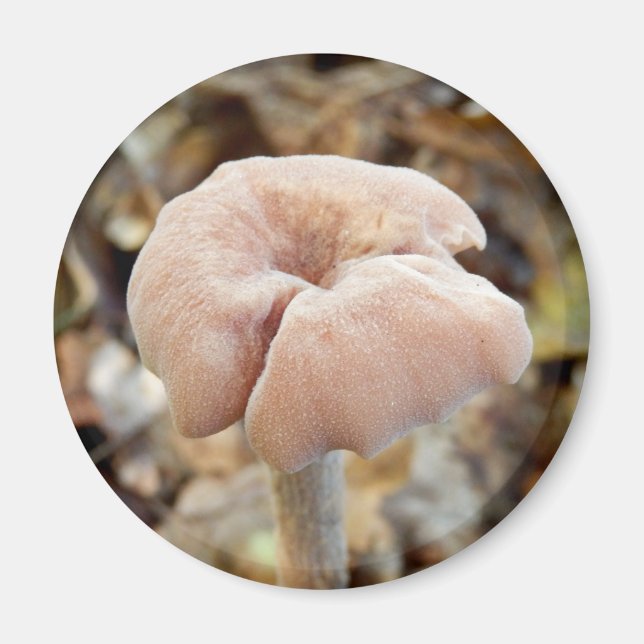 Amethyst Deceiver Mushroom Magnet (Vorne)