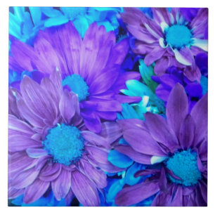 Amethyst Lila und Türkis Blue Daisies Fliese
