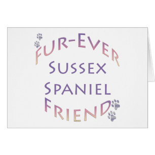 Ami Sussex Spaniel Furever