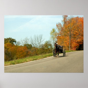 Amich Buggy Print Poster