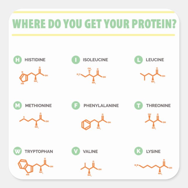 Aminosäuren - Wo bekommt man sein Protein? Quadratischer Aufkleber (Vorderseite)
