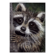 Amis ? Carte Raccoon
