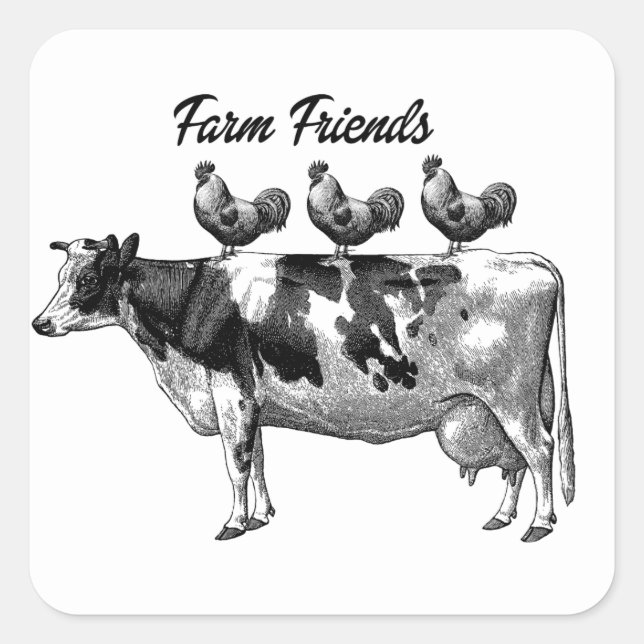 Amis de ferme mignonne auto-collant de coq de vach (Devant)