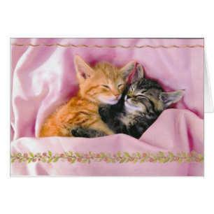 Amis de sommeil ; Tuckered