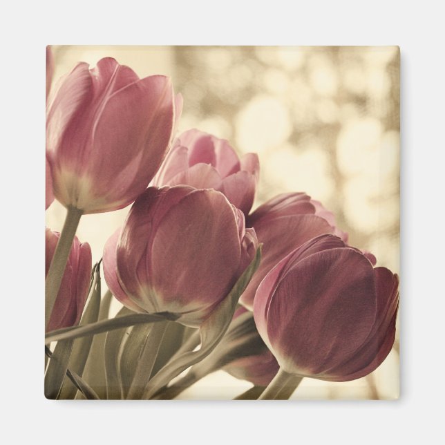 Amis Magnet (Devant)