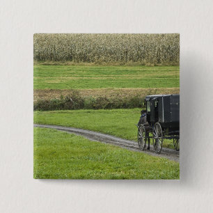 Amische Buggy auf Bauernhofweg, nordöstliches Button