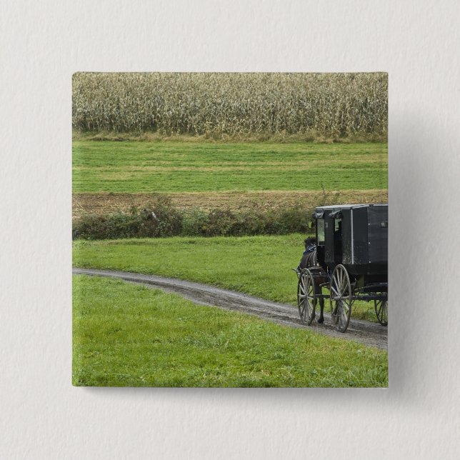Amische Buggy auf Bauernhofweg, nordöstliches Button (Vorderseite)