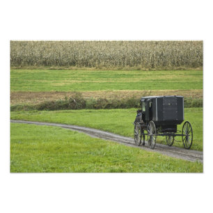 Amische Buggy auf Bauernhofweg, nordöstliches Fotodruck