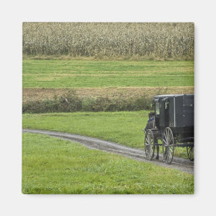Amische Buggy auf Bauernhofweg, nordöstliches Magnet