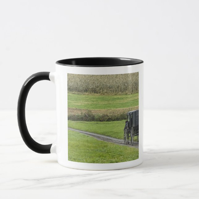 Amische Buggy auf Bauernhofweg, nordöstliches Tasse (Links)