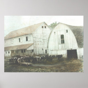 Amische Molkerei Poster