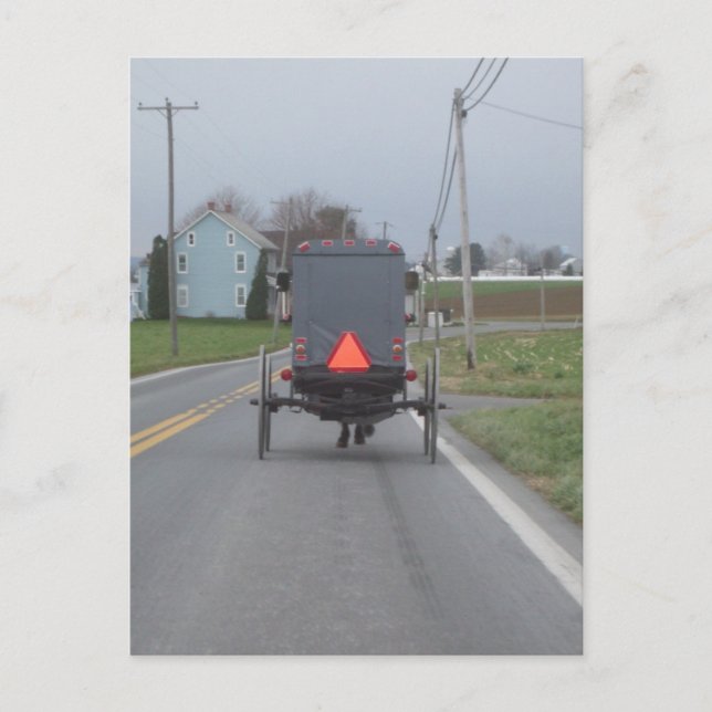 Amische Pferde-u. Buggy-Postkarte Postkarte (Vorderseite)