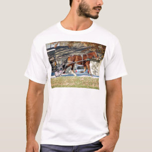 Amischer Gaul stürzt T-Shirt