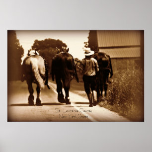 Amisches Leben-Plakat Poster