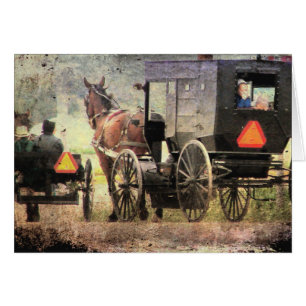Amisches Pferd und Buggy