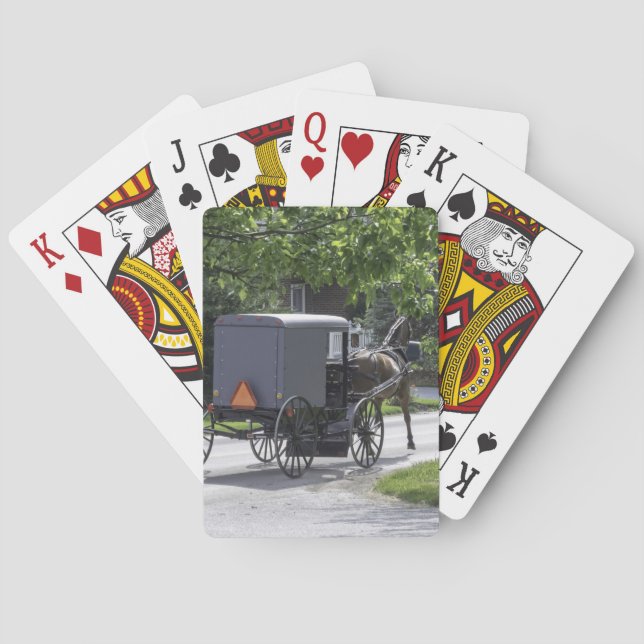 Amise Playing Cards Spielkarten (Rückseite)