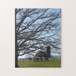 Amish-Bauernhof