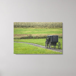 Amish-Buggy auf einer Farmstraße, Nordost-Ohio, Leinwanddruck