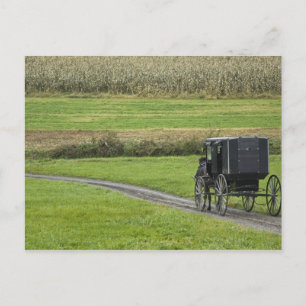 Amish-Buggy auf einer Farmstraße, Nordost-Ohio, Postkarte
