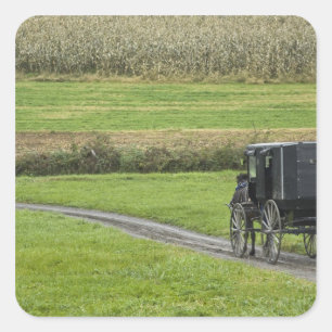Amish-Buggy auf einer Farmstraße, Nordost-Ohio, Quadratischer Aufkleber