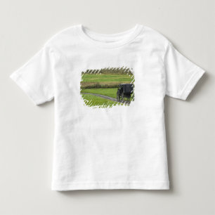 Amish-Buggy auf einer Farmstraße, nordöstliches Oh Kleinkind T-shirt