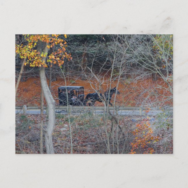Amish Buggy auf einer Landstraße im Herbst, Ohio Postkarte (Vorderseite)