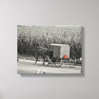 Amish Buggy Monochrome