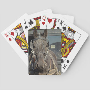 Amish Buggy Pferd Spielkarten
